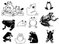 FROG1.TIF