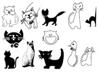 CAT3.TIF