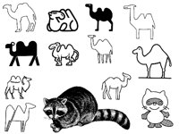 CAMEL2.TIF
