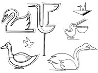 SWAN1.TIF