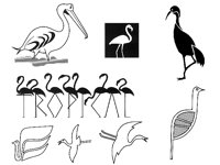 STORK1.TIF