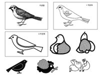 SPARROW3.TIF