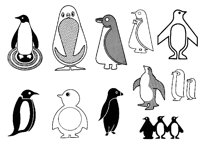 PENGUIN1.TIF