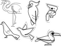 PARROT1.TIF