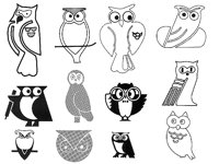 OWL3.TIF