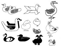 DUCK3.TIF