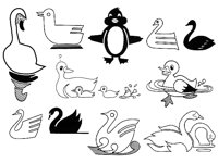 DUCK2.TIF