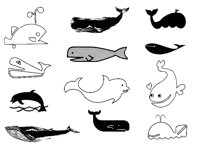 WHALE1.TIF