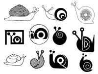 SNAIL3.TIF