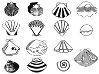 SHELL.TIF