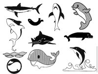 SHARK.TIF