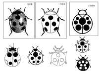 G_BEETL2.TIF