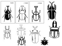GOLDBUG1.TIF