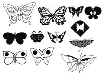 BUTTERF4.TIF