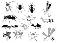 ANT.TIF
