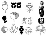 TULIP.TIF