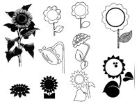 SUNFLOW2.TIF