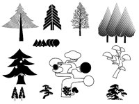 PINE1.TIF