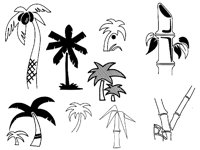 PALM.TIF
