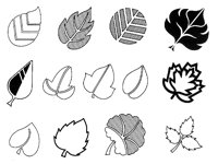 LEAF3.TIF