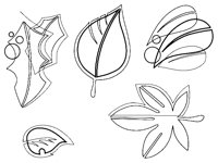 LEAF1.TIF