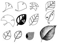 GINKGO.TIF