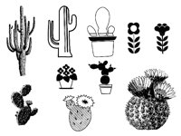 CACTUS2.TIF