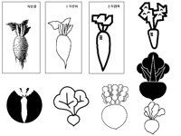 RADISH.TIF