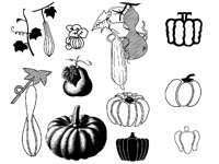 PUMPKIN.TIF