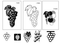 GRAPE2.TIF