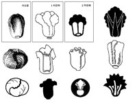 CABBAGE.TIF