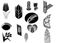 BARLEY2.TIF