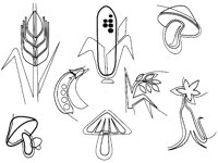 BARLEY1.TIF