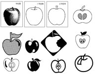 APPLE3.TIF