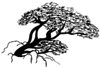 TREE67.PCX