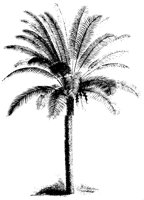 TREE59.PCX