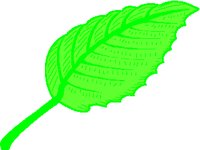 LEAF00.PCX