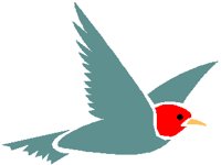 0005BIRC.PCX