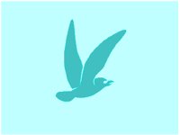 0004BIRC.PCX