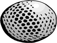 GOLF09.PCX