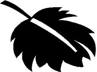 LEAF.PCX