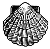 SHELL14.PCX