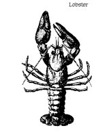 LOBSTER.PCX