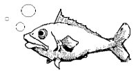 FISH27.PCX