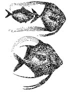 FISH21.PCX