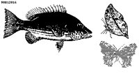 FISH13.PCX