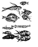 FISH10.PCX
