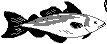 FISH09.PCX