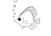 FISH02.PCX