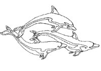 DOLPHIN3.PCX